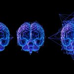 Por dentro da caixa-preta: como cientistas tentam decifrar a “mente”