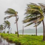 Primeiro ciclone de 2026 se forma no Sul com ventos