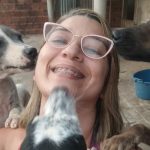 Protetoras de animais lutam para manter resgates em São Luís