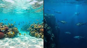 Qual a diferença entre mar e oceano? A geografia explica