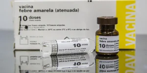 SP: quem tomou vacina fracionada da febre amarela deve completar