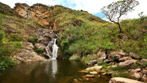 Serra do Cipó abriga espécies de fauna que só existem