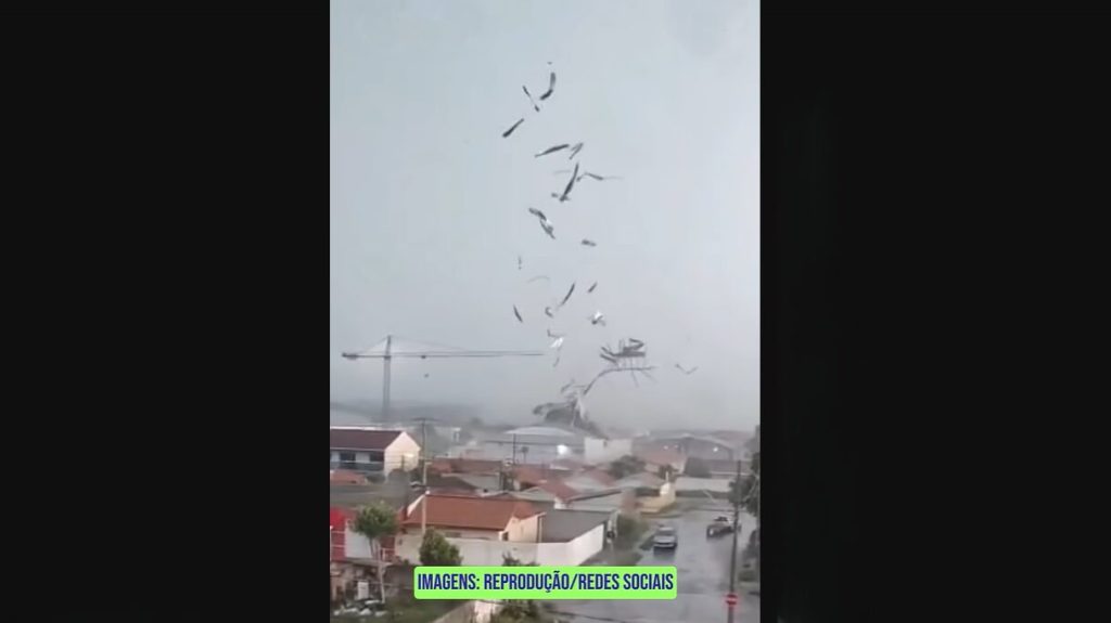 Tornado atinge São José dos Pinhais (PR)