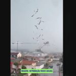 Tornado atinge São José dos Pinhais (PR)