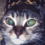 Two Door Cinema Club, Calema e Xamã são as primeiras