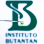 Vacina da dengue: Instituto Butantan está recrutando voluntários idosos para