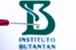 Vacina da dengue: Instituto Butantan está recrutando voluntários idosos para